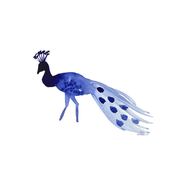 Strolling Peacock Print