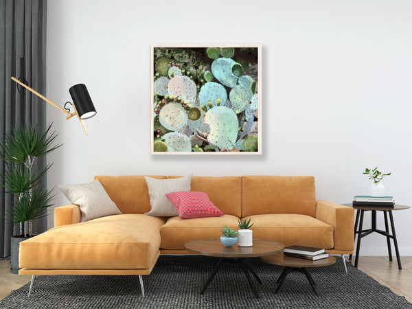 Huntington Garden Cactus Print