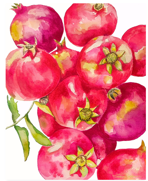 Pomegranate From A Friend Print