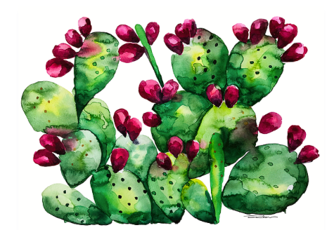 Prickly Pear Cactus Print