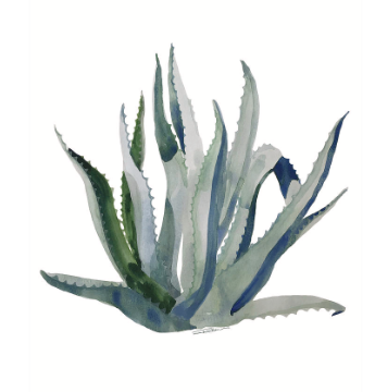 The Centurion Century Plant Print