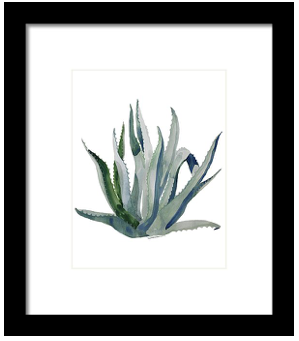 The Centurion Century Plant Print