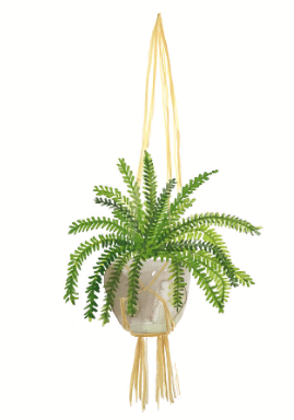 Hanging Fern Print