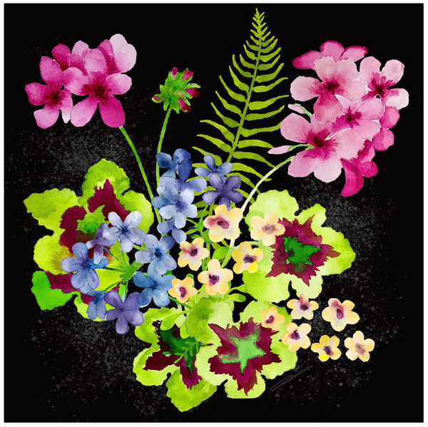 Protea Blossom & Geranium Aperitif Gallery Wall Set