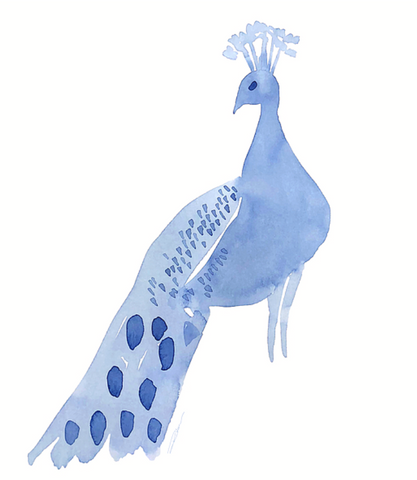 Demurely Peacock Print