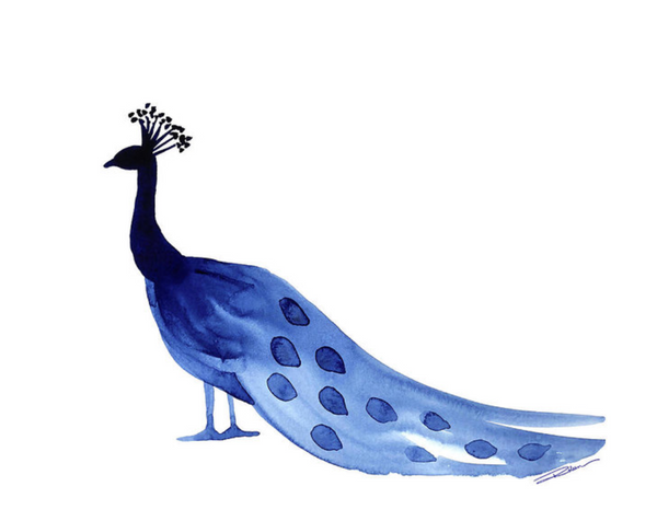 Peacock Gallery Wall Set