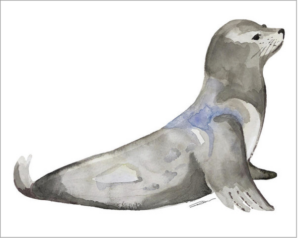 Seals & Sea Lion Gallery Wall Set