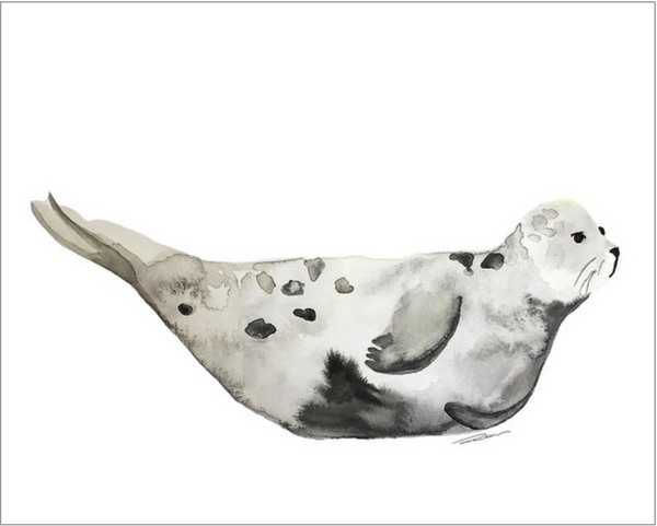 Seals & Sea Lion Gallery Wall Set