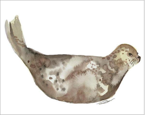 Seals & Sea Lion Gallery Wall Set