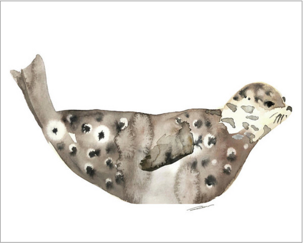 Seals & Sea Lion Gallery Wall Set