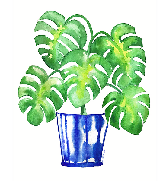 Monstera Leaf Print
