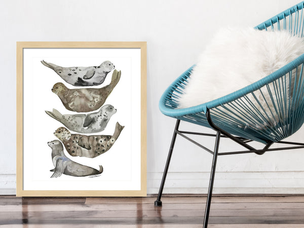 Seals of La Jolla Print