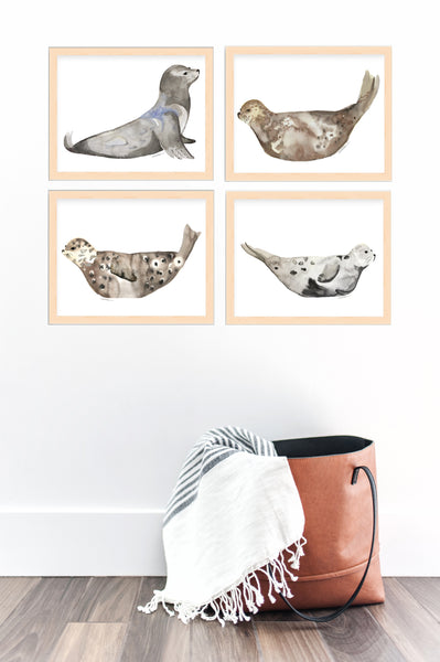 Seals & Sea Lion Gallery Wall Set