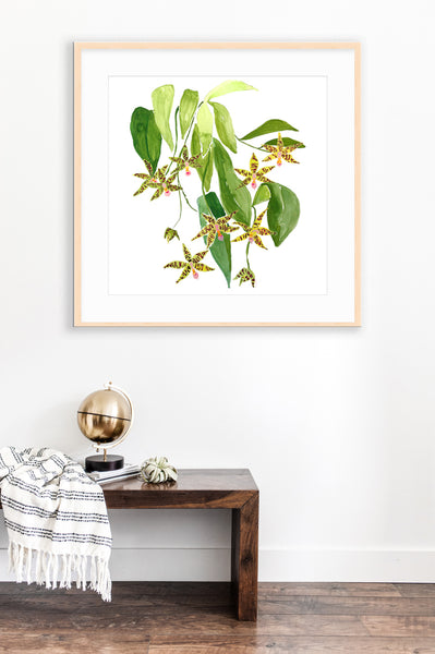 Le Orchidee Flower Print