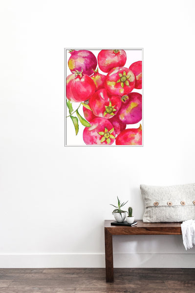 Pomegranate From A Friend Print