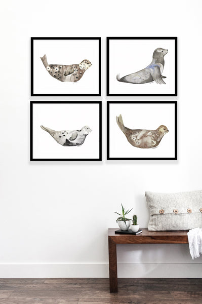 Seals & Sea Lion Gallery Wall Set