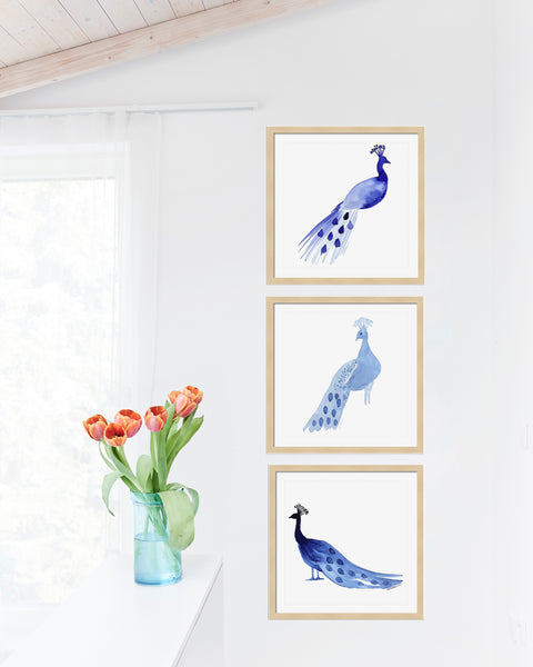 Peacock Gallery Wall Set