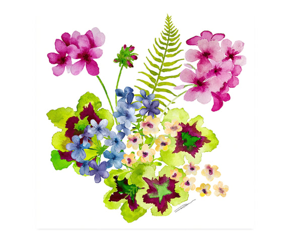 Pink Geranium Aperitif Print