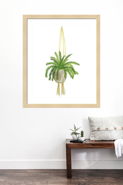 Hanging Fern Print