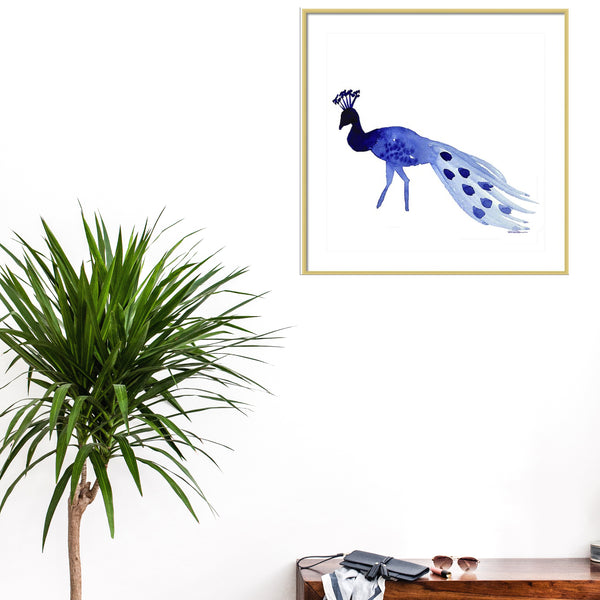 Strolling Peacock Print