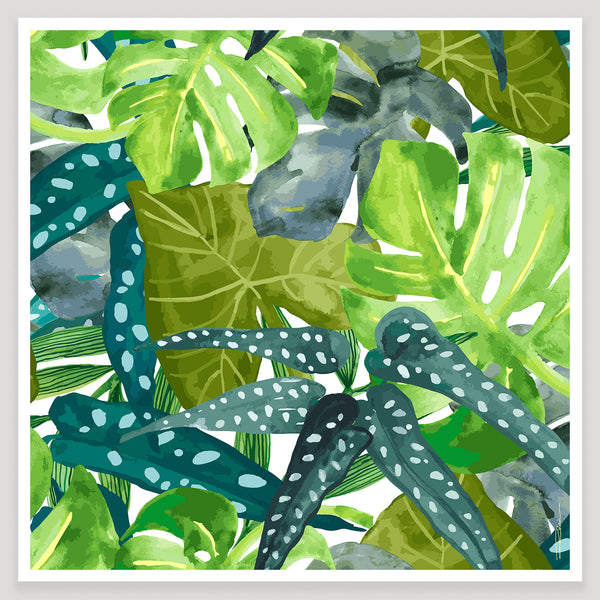 Monstera Leaves Art Print