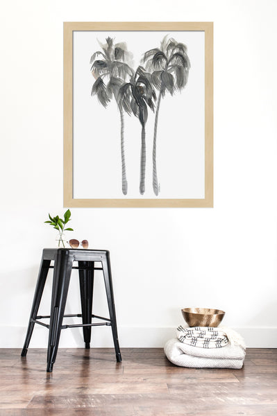 La Jolla Palms Print