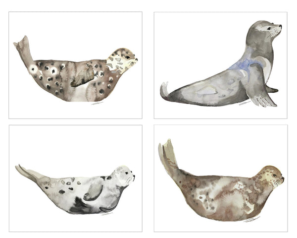 Seals & Sea Lion Gallery Wall Set