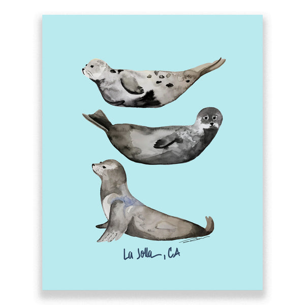 La Jolla Seal Print