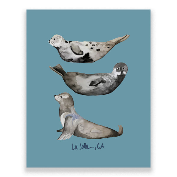 La Jolla Seal Print