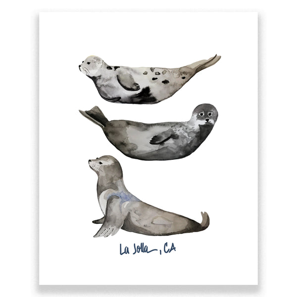 La Jolla Seal Print