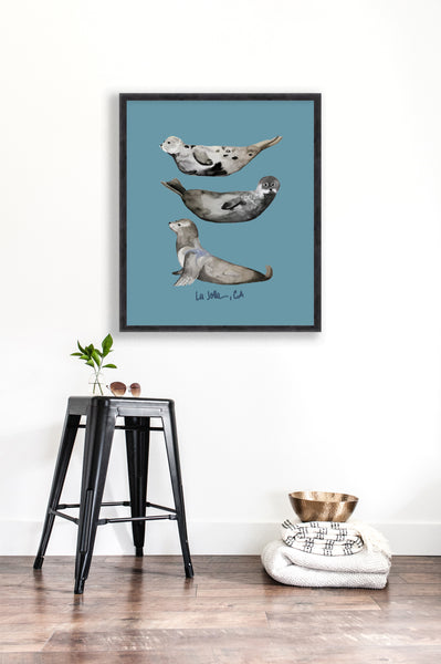 La Jolla Seal Print