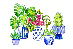Indoor Garden Cactus Print