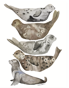 Seals of La Jolla Print