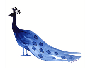 Proudly Peacock Animal Art Print