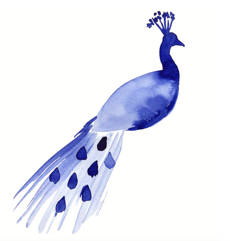 Peacock Animal Art Print