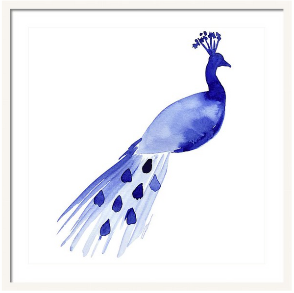 Perched Peacock Print