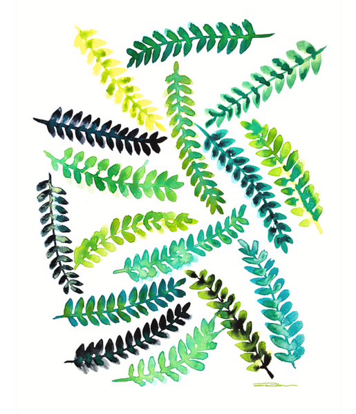 Woodland Ferns Print