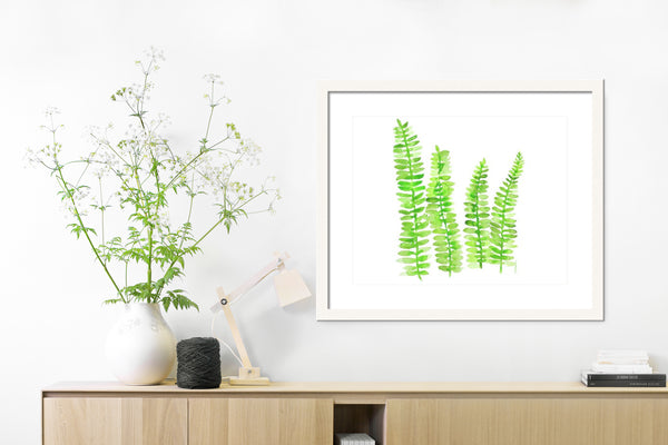 Fresh Ferns Print