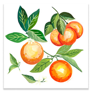 Orange Grove Garden Print