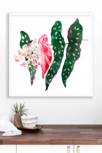 Begonia Flower Print